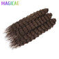 3Pcs 24Inches 300Grams Ariel Deep Water Twist Braids Crochet Curly Hair Orange Brown6# Blond 613 White Gray 58# Bundles