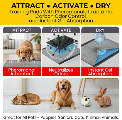Activated Carbon Dog Pee Pads - Ultimate Odor Control & Absorption for Effortless Puppy Training - 100 Count